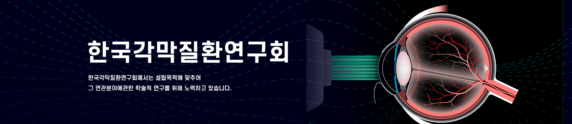 메인 기본이미지
